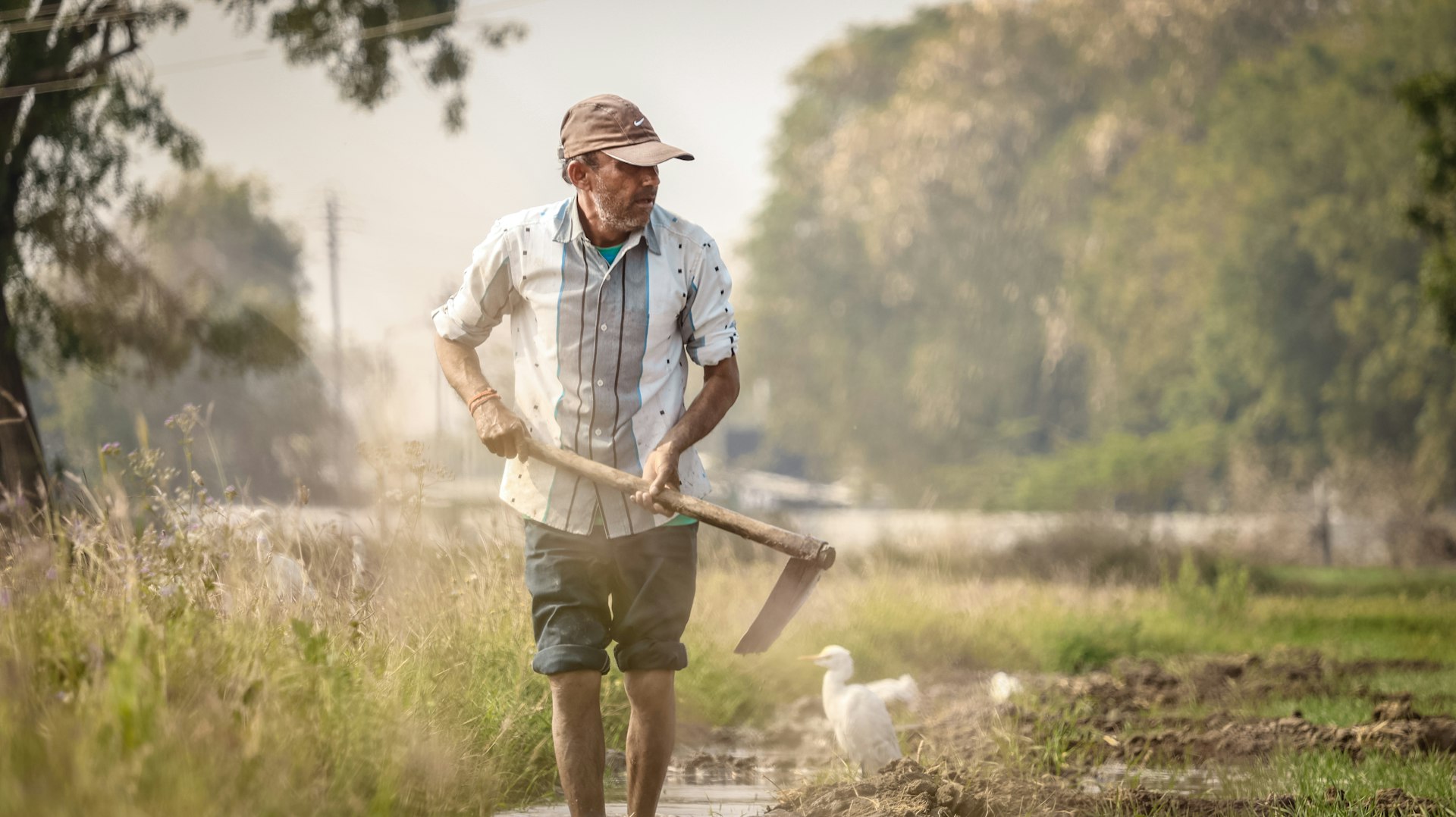 a person holding a stick and a dog in a field